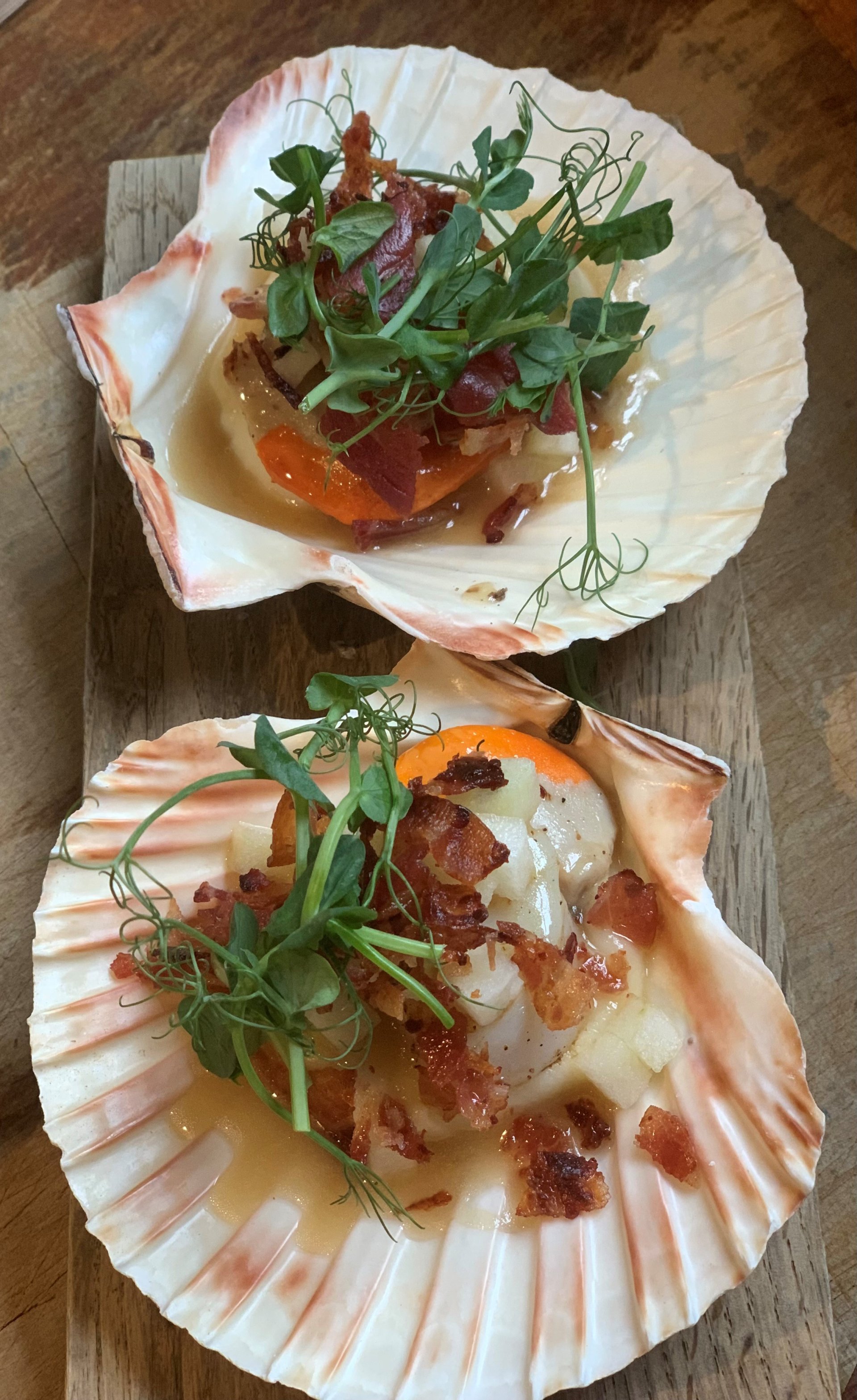 Scallop School Monday 8th April 2024